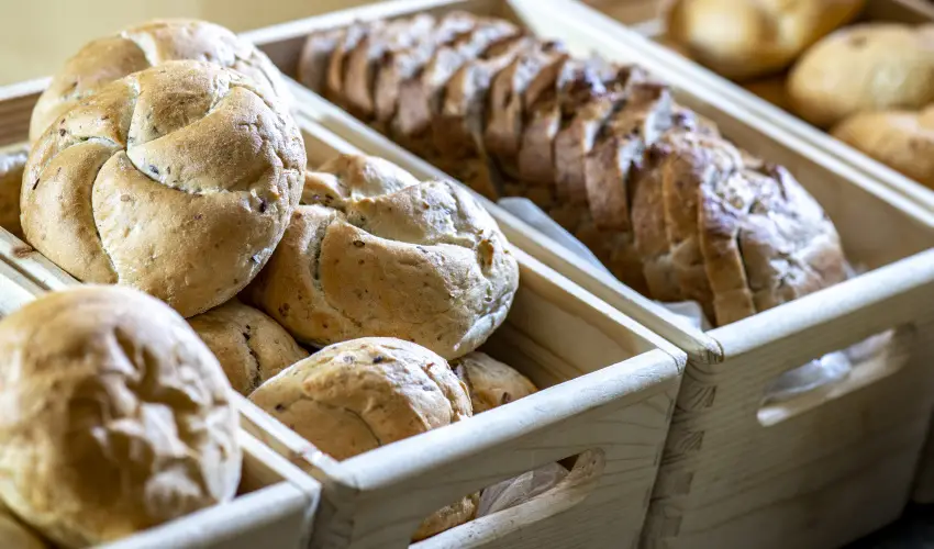 Term�l Apartmanok & Kemping Hark�ny Hark�ny - H�sv�t