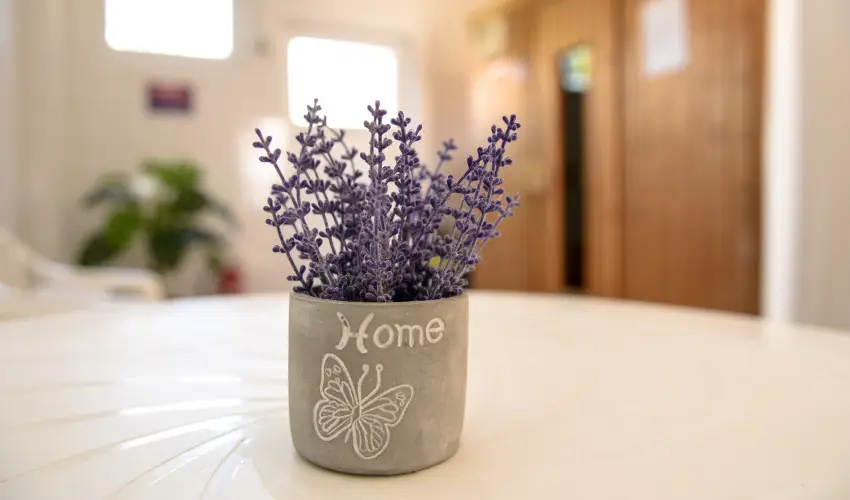 Thermal Panzi Igal Igal - Hsvt (min. 2 j)