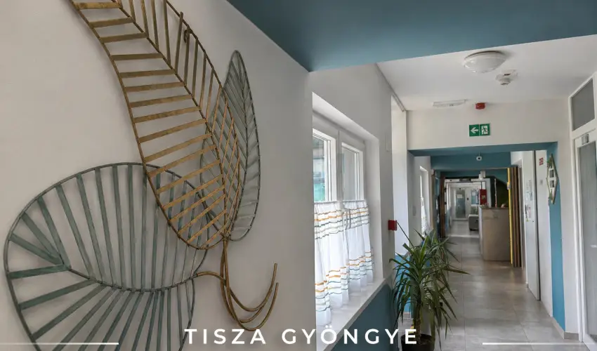 Tisza Gy�ngye Apartmanok Szeged - H�sv�t