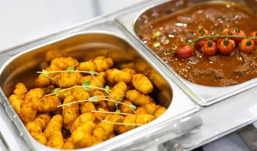 TOK Zamrdi Zamrdi - Hsvt (min. 2 j)