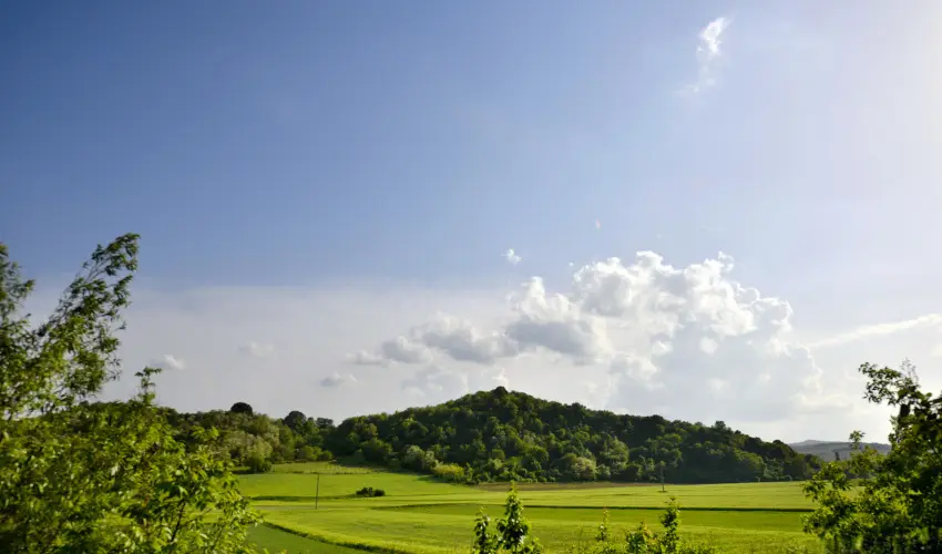 T�kert Fogad� Nagym�nyok - H�sv�t