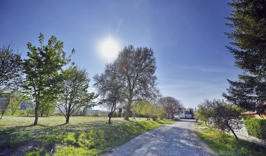 T�kert Fogad� Nagym�nyok - H�sv�t