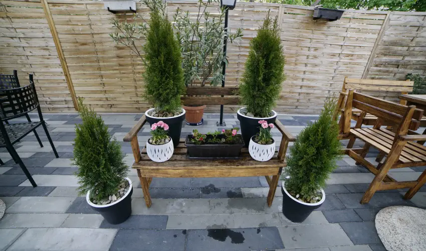 T�kert Fogad� Nagym�nyok - H�sv�t