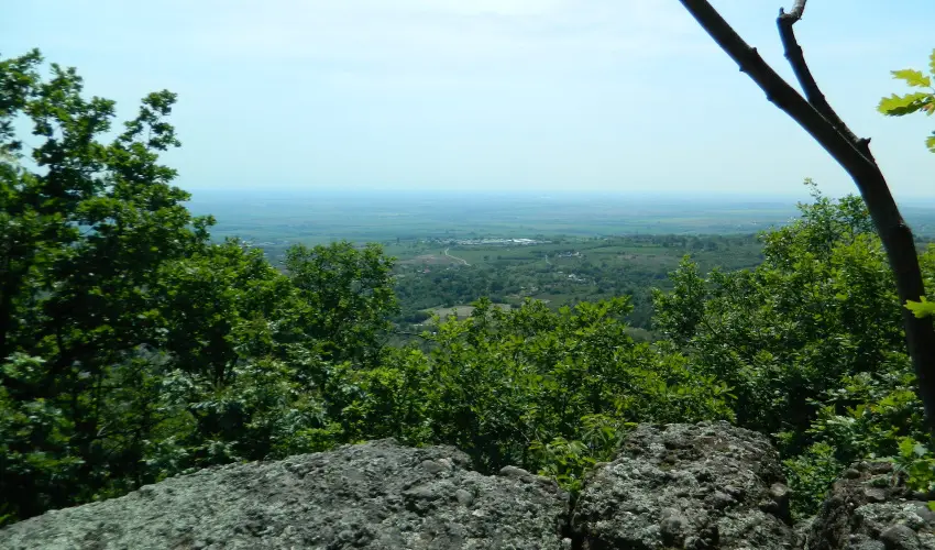 T�kert Fogad� Nagym�nyok - H�sv�t