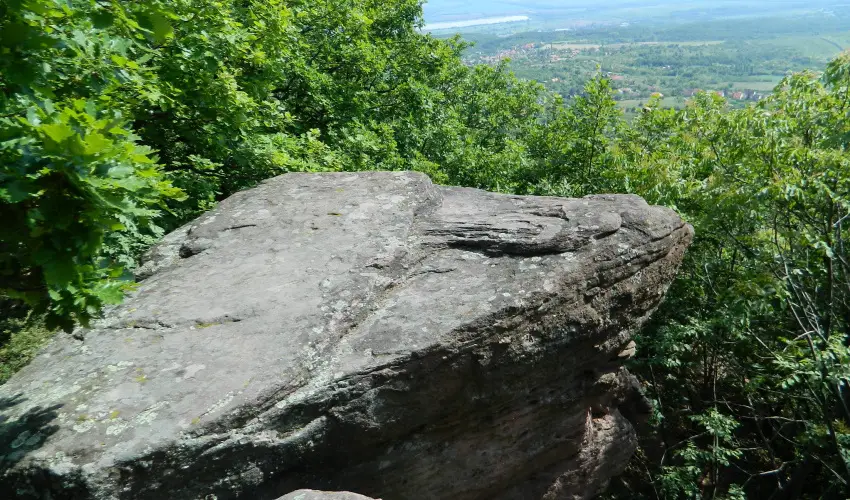 T�kert Fogad� Nagym�nyok - H�sv�t