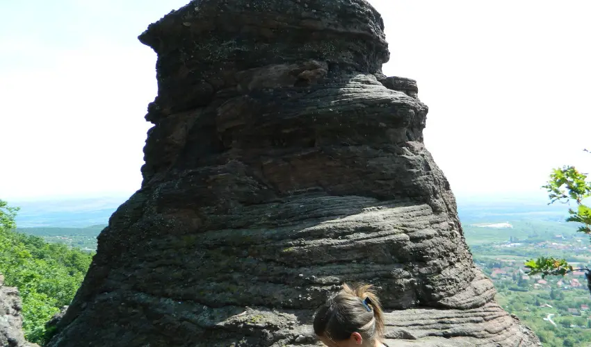 T�kert Fogad� Nagym�nyok - H�sv�t