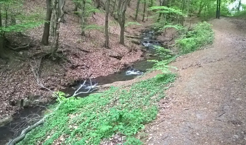 T�kert Fogad� Nagym�nyok - H�sv�t