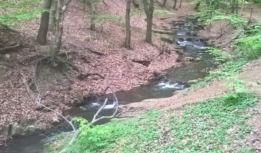 T�kert Fogad� Nagym�nyok - H�sv�t