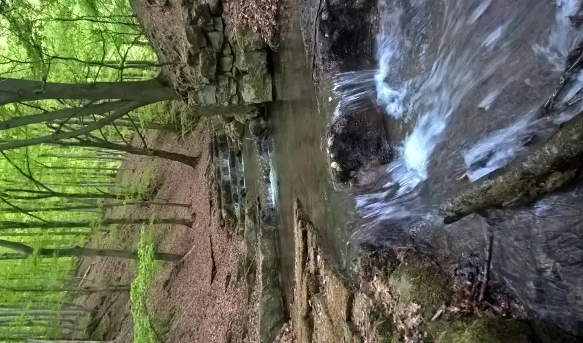 T�kert Fogad� Nagym�nyok - H�sv�t