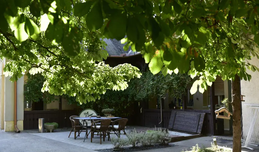 Torncos Vendghz Krshegy - Hsvt