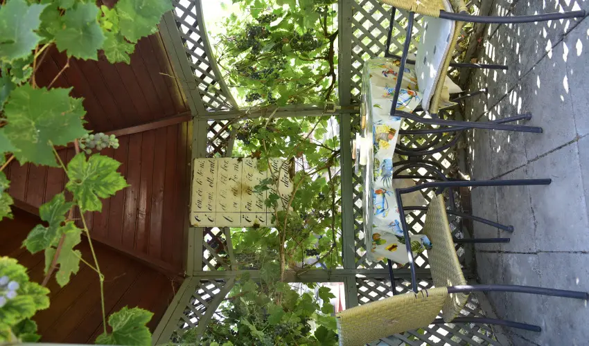 Torncos Vendghz Krshegy - Hsvt