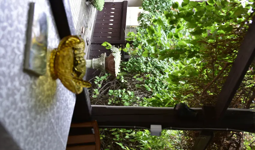 Torncos Vendghz Krshegy - Hsvt