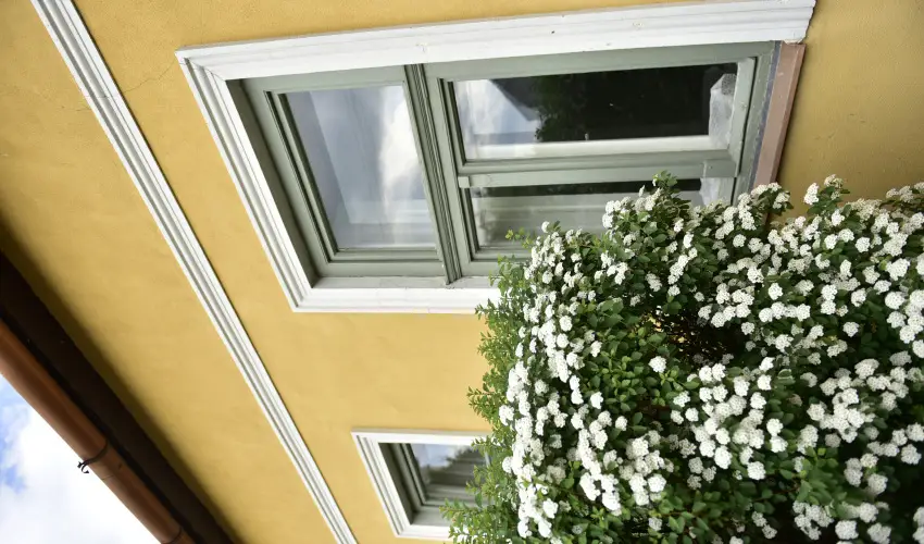 Torncos Vendghz Krshegy - Hsvt