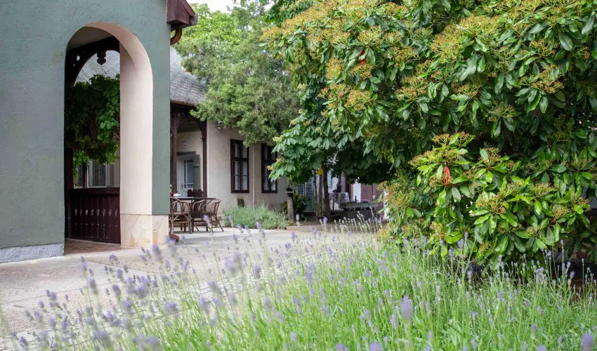 Torncos Vendghz Krshegy - Hsvt