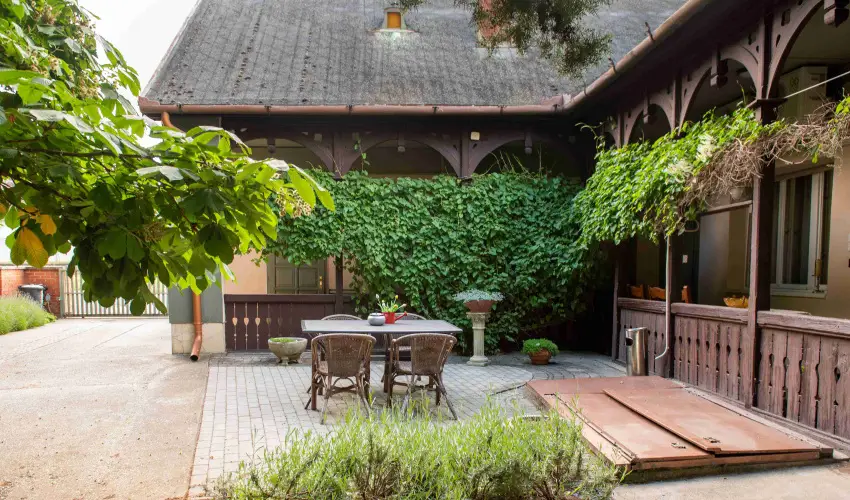 Torncos Vendghz Krshegy - Hsvt