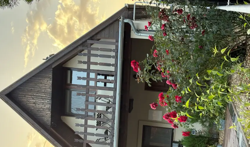 T�csi lak Szigetszentm�rton - M�jus 1. (min. 2 �j)