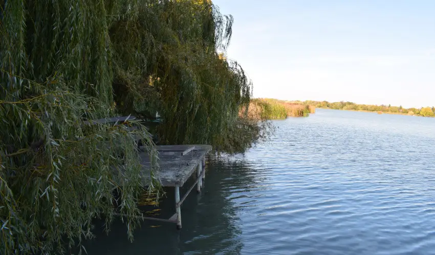 T�csi lak Szigetszentm�rton - M�jus 1. (min. 2 �j)