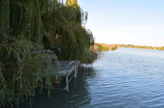 T�csi lak - M�jus 1. (min. 2 �j)