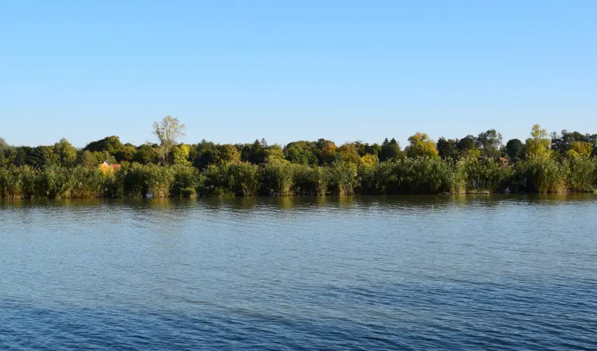 T�csi lak Szigetszentm�rton - M�jus 1. (min. 2 �j)