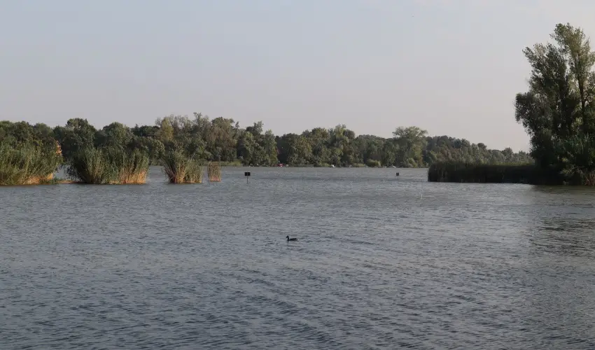 T�csi lak Szigetszentm�rton - M�jus 1. (min. 2 �j)