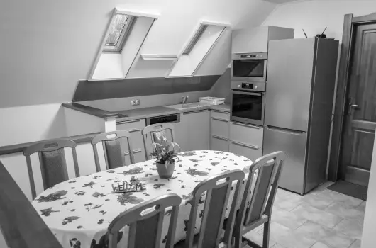 Tulipn Vendghz - Hsvt (min. 2 j)