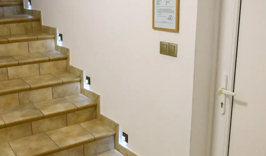 Tulipn Vendghz rvnyes - Hsvt (min. 2 j)