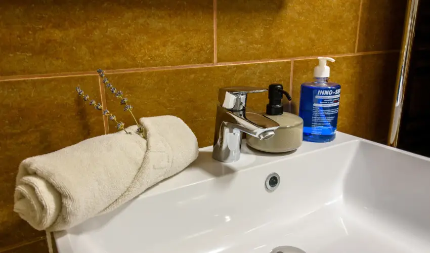 Tulipn Vendghz rvnyes - Hsvt (min. 2 j)