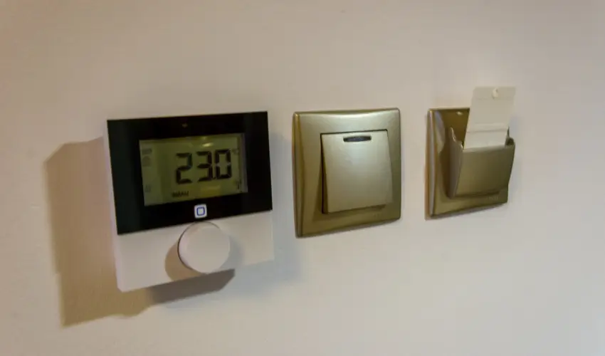 Tulipn Vendghz rvnyes - Hsvt (min. 2 j)