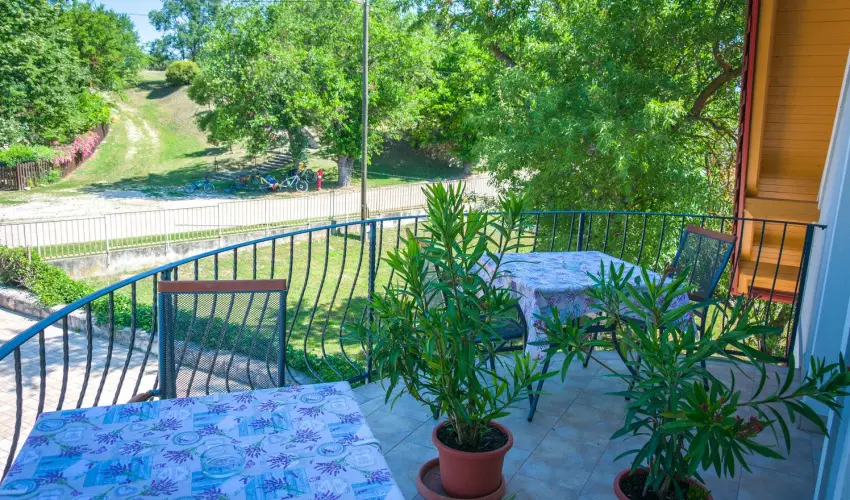 Tulipn Vendghz rvnyes - Hsvt (min. 2 j)