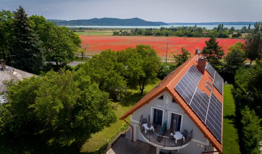 Tulipn Vendghz rvnyes - Hsvt (min. 2 j)