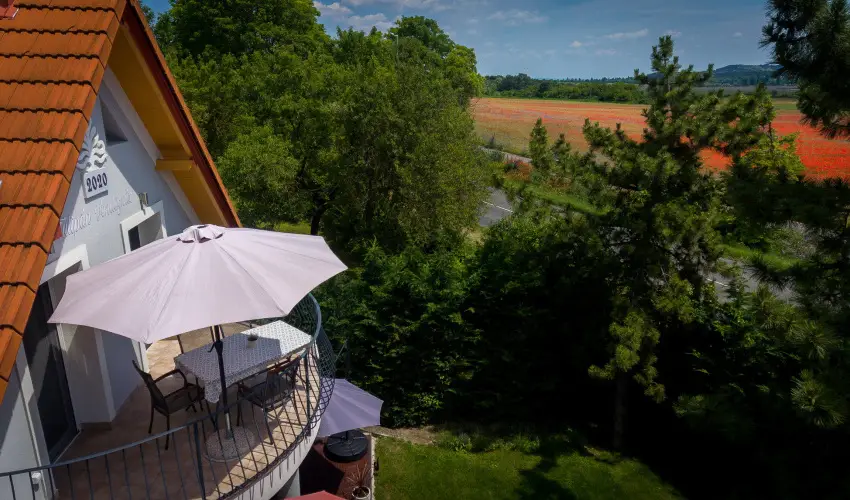 Tulipn Vendghz rvnyes - Hsvt (min. 2 j)