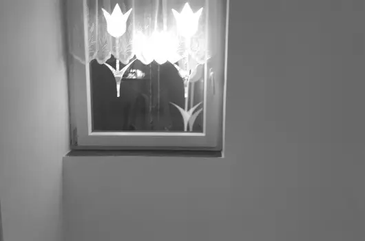 Tulip�nos Vend�gh�z - H�sv�t