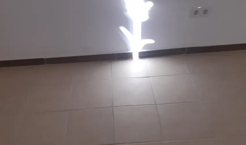 Tulip�nos Vend�gh�z �r - H�sv�t