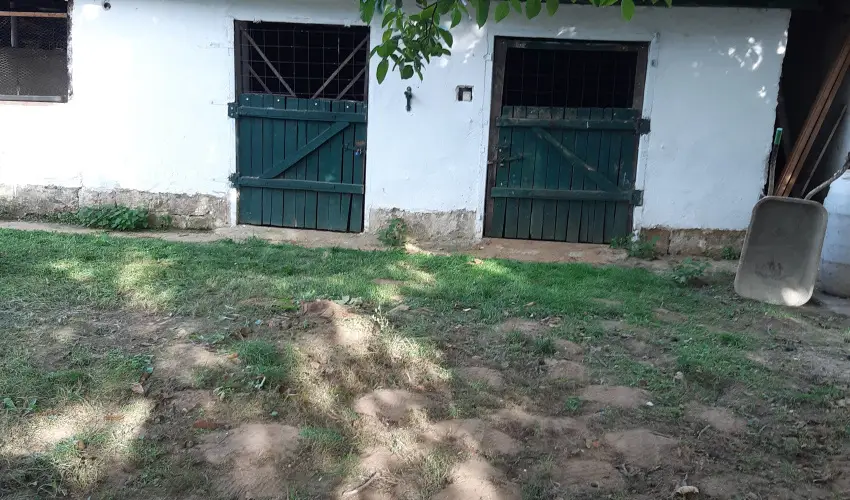 Tulip�nos Vend�gh�z �r - H�sv�t