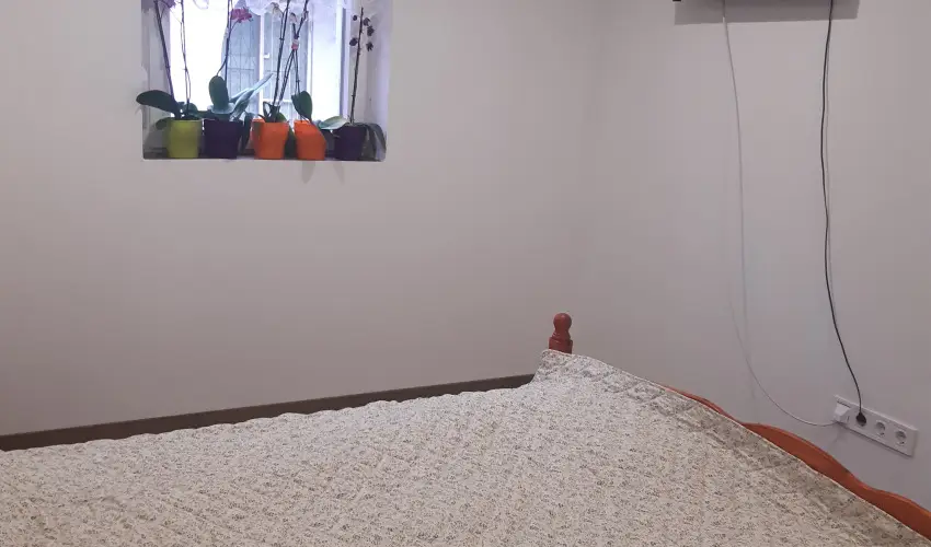 Tulip�nos Vend�gh�z �r - H�sv�t