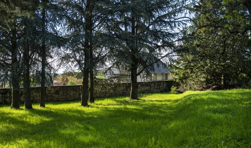 T�nd�rkert Hotel Noszvaj - H�sv�t (min. 2 �j)