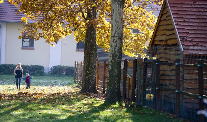 Vadkert Major Sárvár - Húsvét