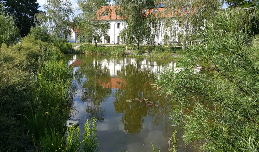 Vadkert Major Sárvár - Húsvét