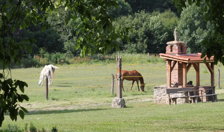 Vadkert Major Sárvár - Húsvét