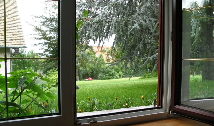 Vadr�zsa Vend�gh�z Szentendre - H�sv�t (min. 2 �j)