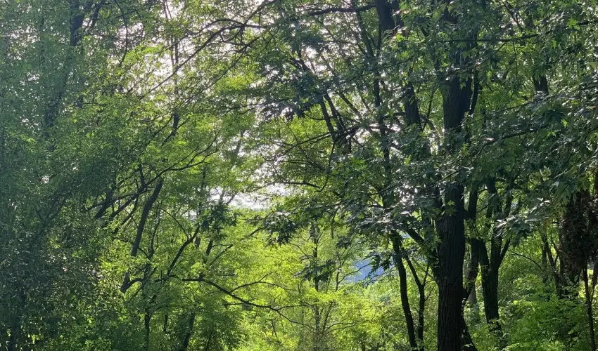 Vr Camping Sirok - Hsvt