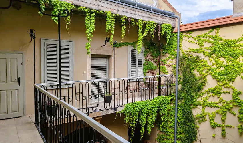 V�rosi Vend�gh�z Szentendre Szentendre - H�sv�t