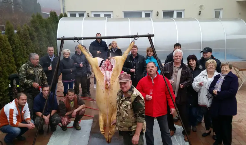 Viktor Bor- s Vendghz Balatonmriafrd - Hsvt 