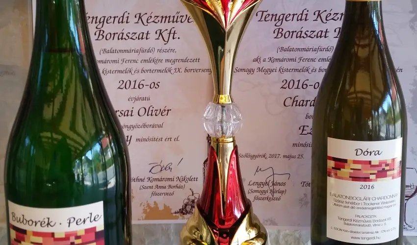 Viktor Bor- s Vendghz Balatonmriafrd - Hsvt 