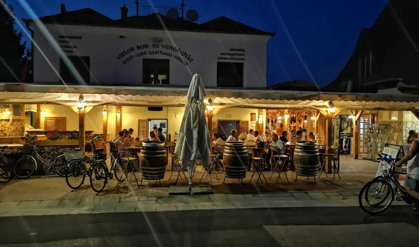 Viktor Bor- s Vendghz Balatonmriafrd - Hsvt 