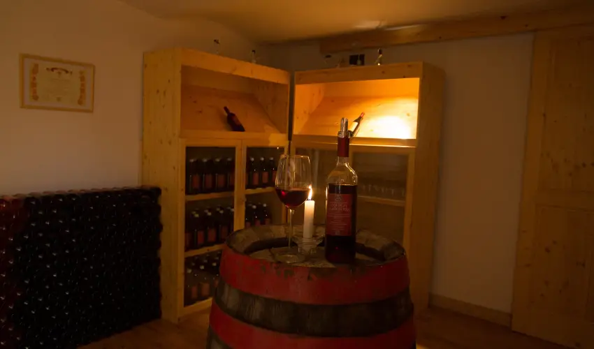 Viktor Bor- s Vendghz Balatonmriafrd - Hsvt 