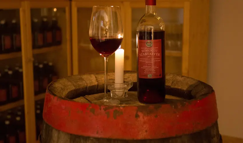 Viktor Bor- s Vendghz Balatonmriafrd - Hsvt 