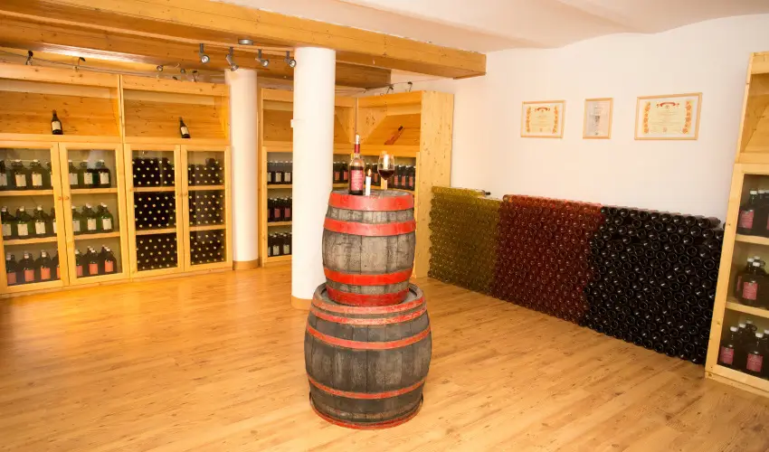 Viktor Bor- s Vendghz Balatonmriafrd - Hsvt 