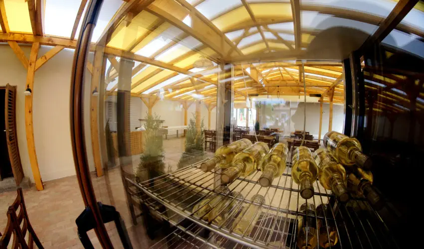 Viktor Bor- s Vendghz Balatonmriafrd - Hsvt 