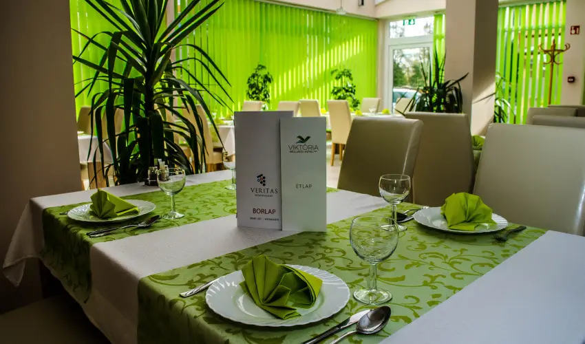 Wellness Hotel Viktria Nagyatd - Hsvt (min. 3 j)